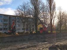 Bomenridders woedend om snelle kap van bomen in Wielwijk