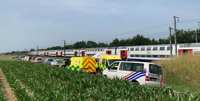 Honderden reizigers zitten vier uur lang vast op snikhete train door... een ooievaar