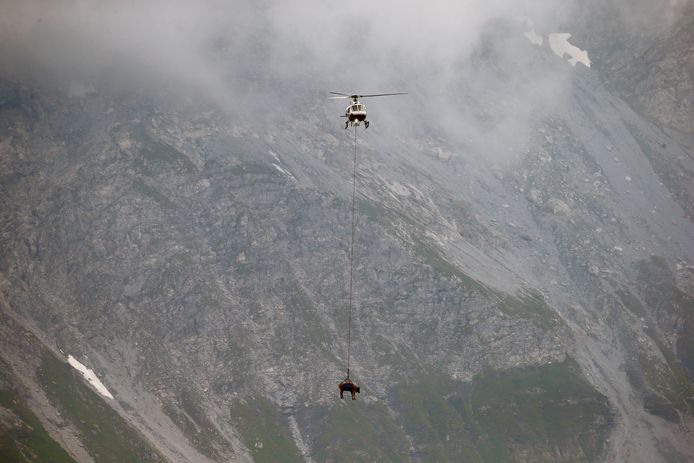 Reuters