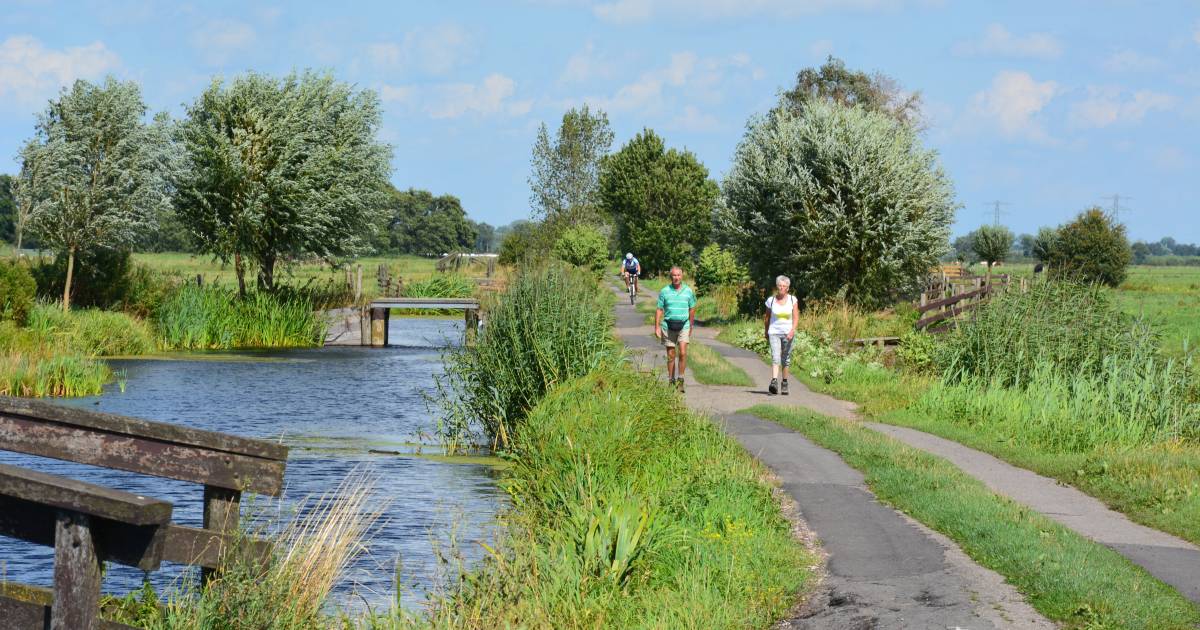 het groene hart loopt nog niet storm het is op veel plekken nog te stil alphen ad nl