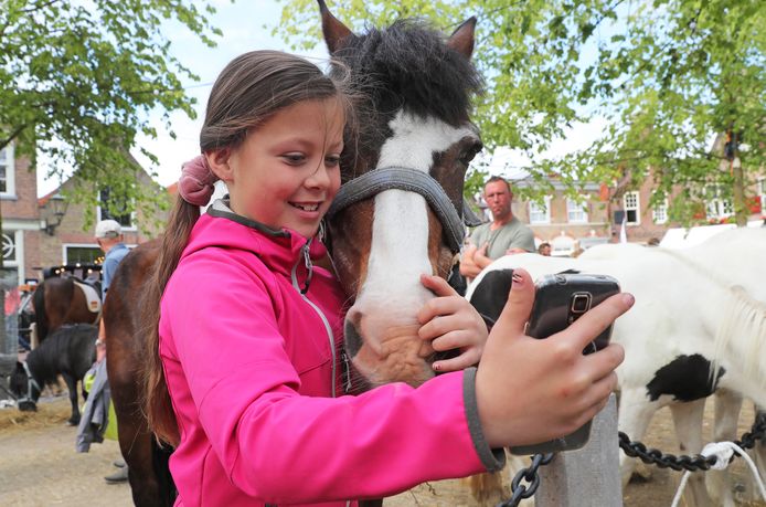 Op één van de vorige Paardenmarkten in Heenvliet maakte dit meisje een selfie met een paard.