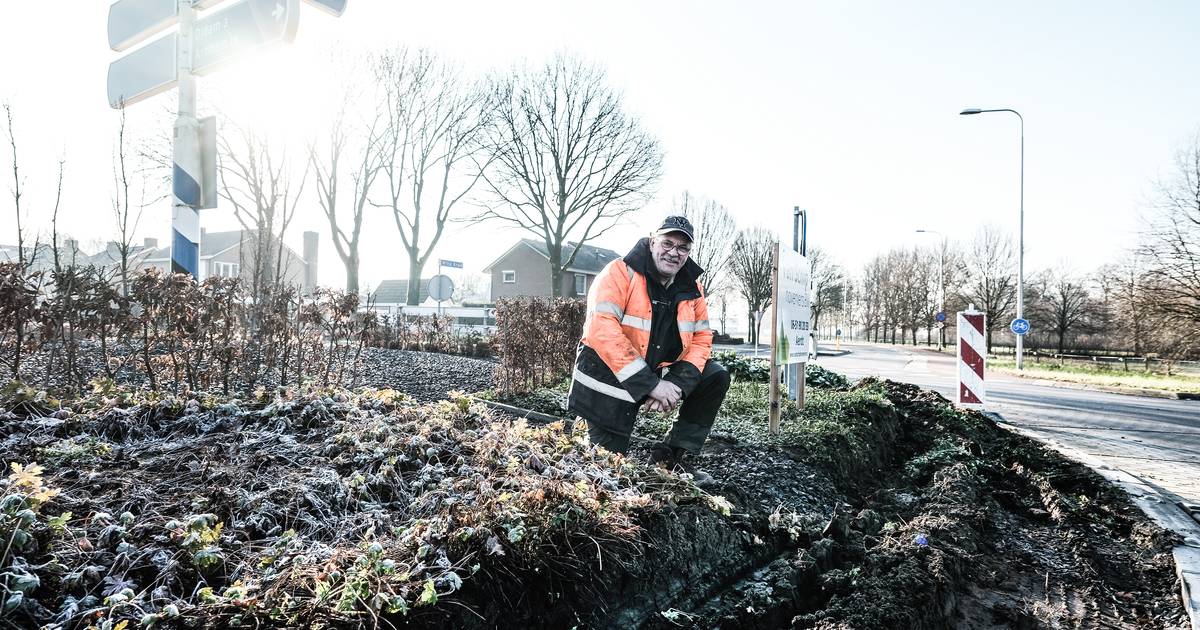 Hovenier Gijs baalt van vrachtwagen die dwars door plantsoen op Babberichse rotonde rijdt: 'Chauffeu