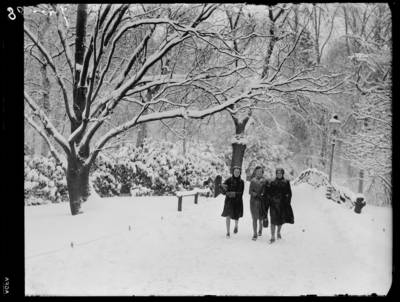 Vroeger waren de winters nog écht streng, weten deze ouderen: ‘Lakens hingen bevroren over waslijn’