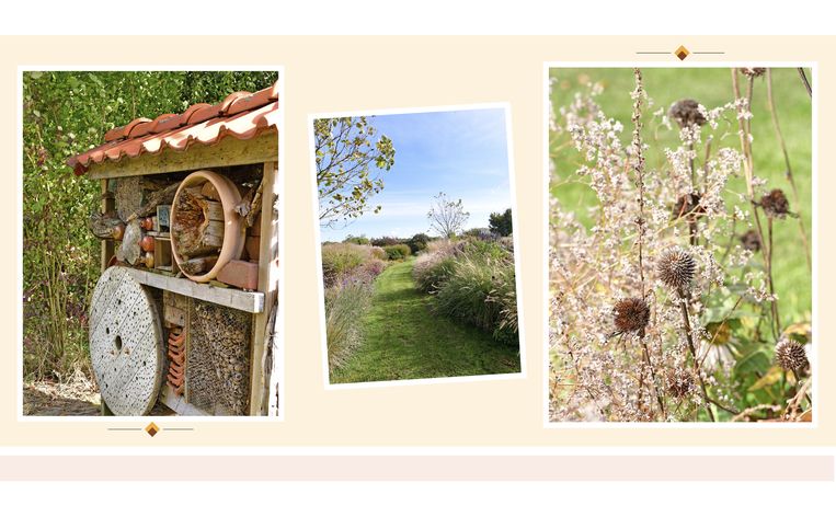 Zo krijg je een tuin vol wuivende pluimen - Libelle