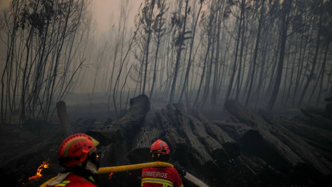 Grote bosbranden, hitte en droogte geselen Portugal en Frankrijk: “Ergste moet nog komen”