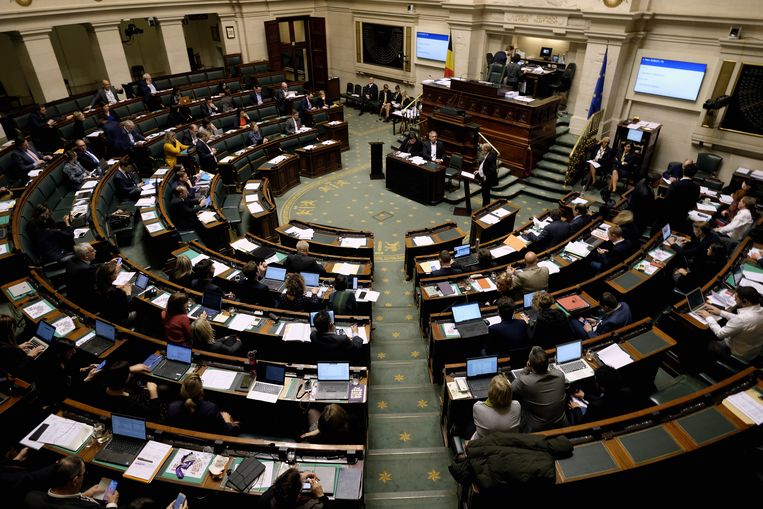 De federale Kamer. Beeld BELGA