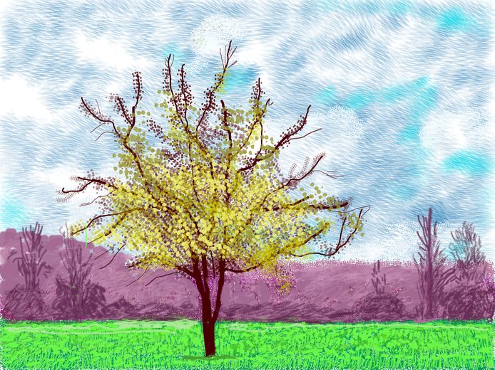 "No. 88", 3rd March 2020 (iPad painting)
© David Hockney
