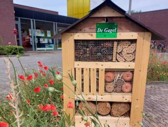 Insectenhotel zorgt voor biodiversiteit aan VC De Kruierie