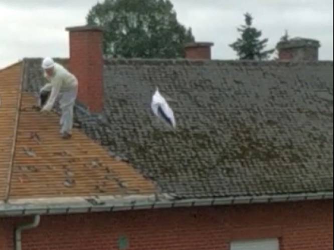 Ex-kankerpatiënt kijkt toe hoe dakplaten met mogelijk asbest aan overkant van woning naar beneden worden gegooid