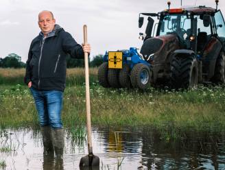 REPORTAGE. Op de verzopen akkers van de Vlaamse boeren: “Tractoren? Die rijden zich vast. Pas op, breek je enkels niet”