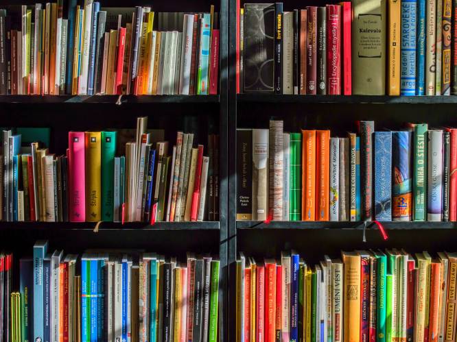 Sla je slag bij de Herentalse Bibliotheek tijdens boekenverkoop
