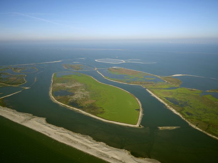 Zeiltocht Naar Ultieme Ontspanning Op Het Markermeer