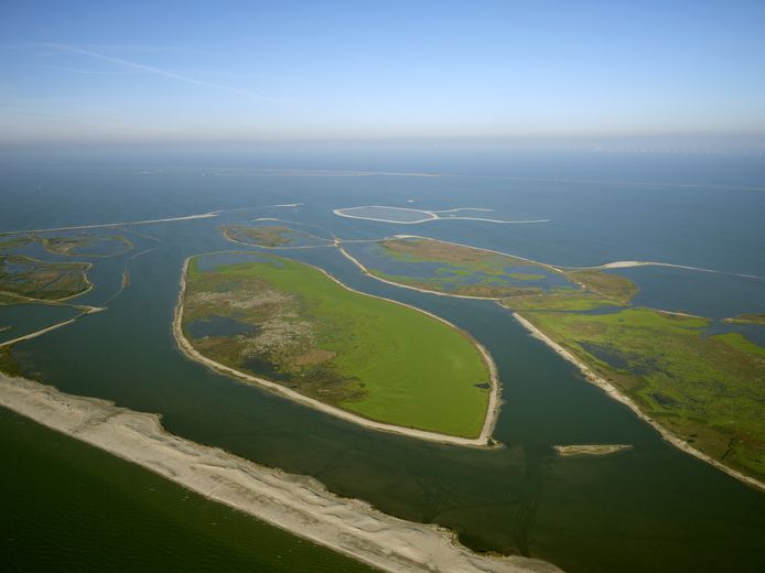 Beleef Een Dag Vol Avontuur Op Het Betoverende Markermeer