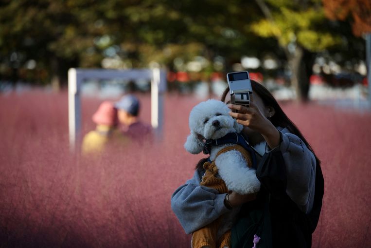 null Beeld REUTERS