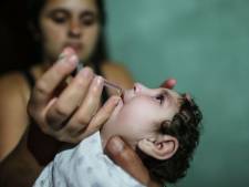 Aantal zikabesmettingen Brazilië daalt drastisch