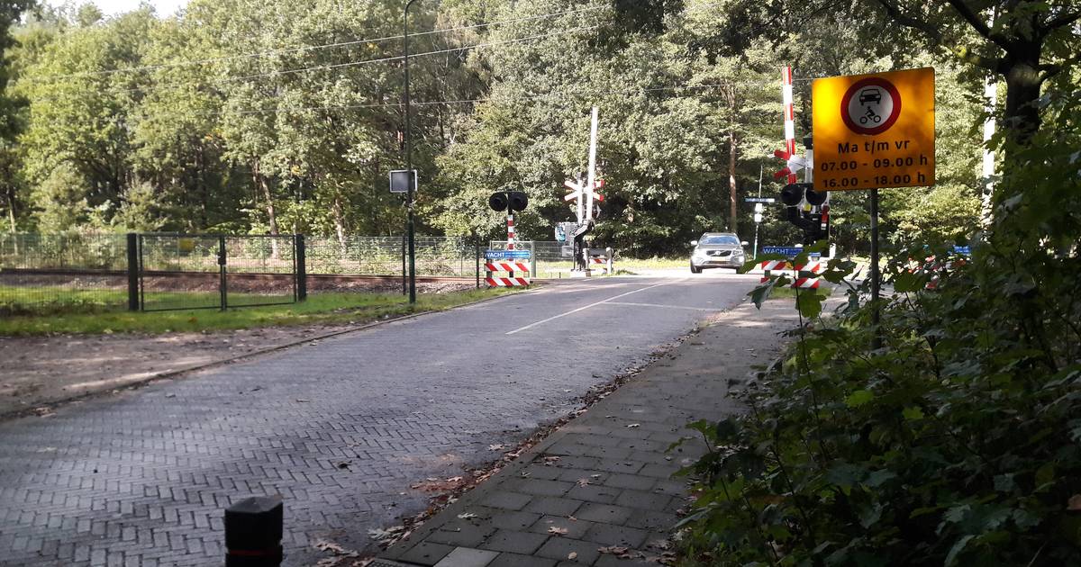 Soest zet streep onder verkeersplan: omstreden afsluiting Bartolottilaan en Foekenlaan teruggedraaid