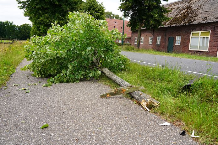 Automobilist raakt gewond bij botsing tegen boom in Rijen.