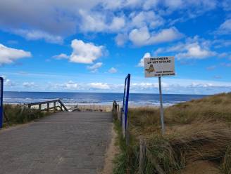 Nieuwe borden op de Haagse stranden om zeehondjes te beschermen