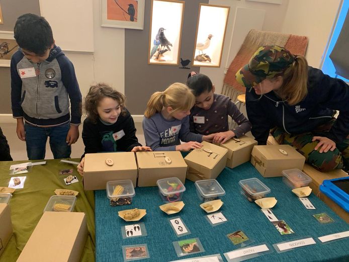 Kinderen van basisschool Sint-Jozefcollege trokken onder andere naar het Natuurpuntmuseum om les te krijgen van studenten Thomas More