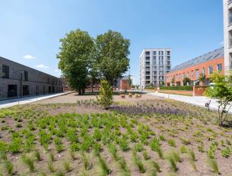 Zondag opent Tinelpark feestelijk: “Moet de noordelijke tegenhanger van de Kruidtuin worden”