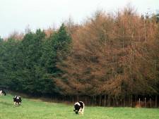 La Botte du Hainaut se met à l’agroforesterie