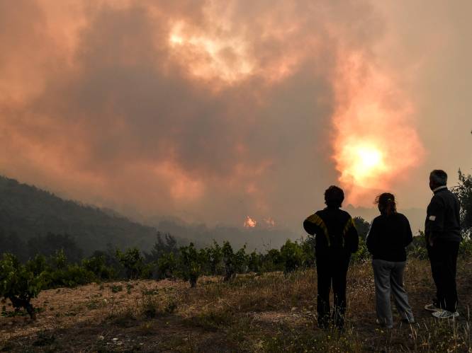 Bosbranden teisteren Griekse eiland Kefalonia