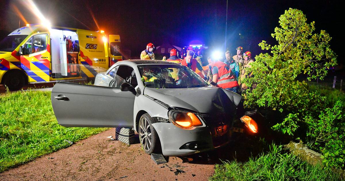 Bestuurster neemt bocht te ruim en rijdt frontaal tegen boom in Luyksgestel, traumaheli opgeroepen