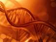 Familieband opsporen via DNA-databank kan al vanaf volgend jaar