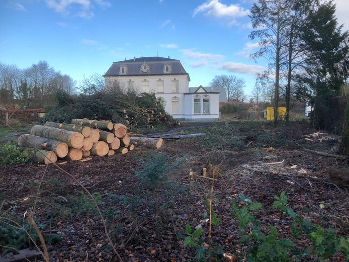 Kaalslag bij de oude pastorie aan de Postelstraat in Moergestel