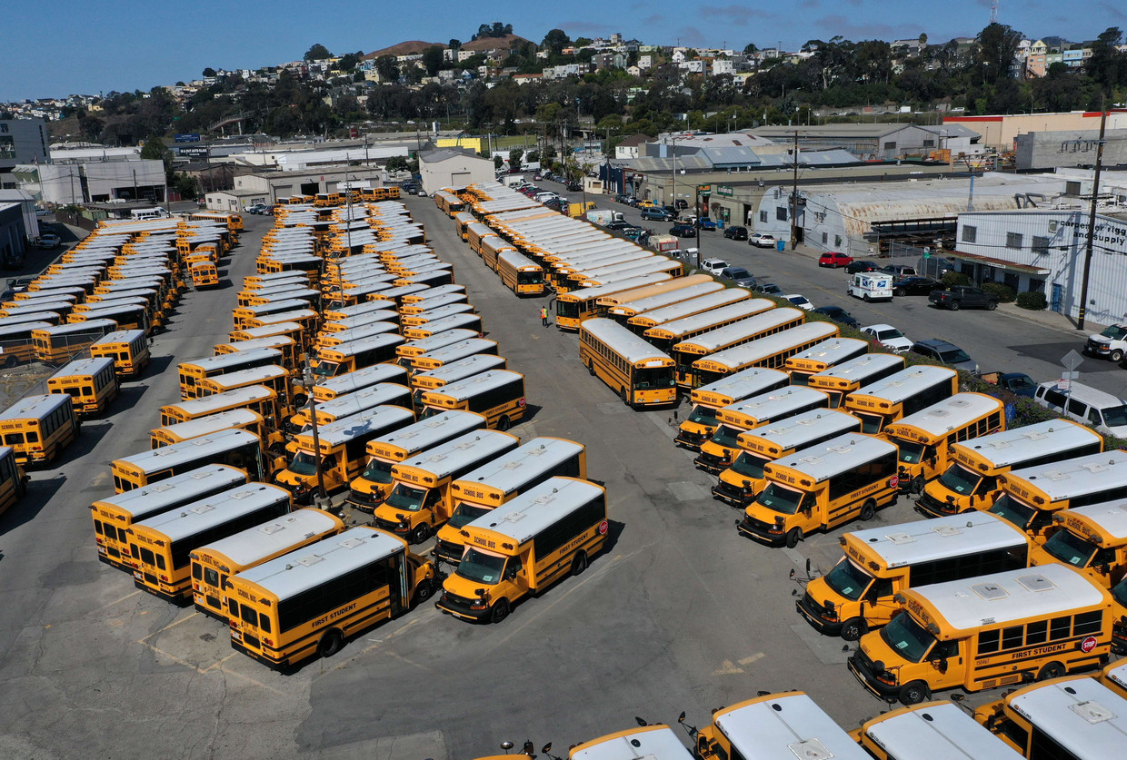 Schoolbussen op een parkeerplaats in California.  Beeld AFP
