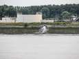 Eerste resultaten bevestigen: 3M dumpte inderdaad schadelijke stof FBSA in Schelde