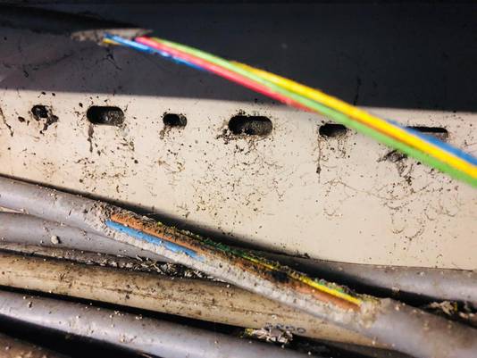 Door ratten aangevreten stroomkabels in boerenschuren.