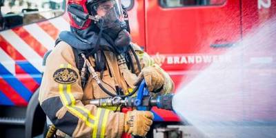 Brand verwoest deel heidegebied bij Appelscha