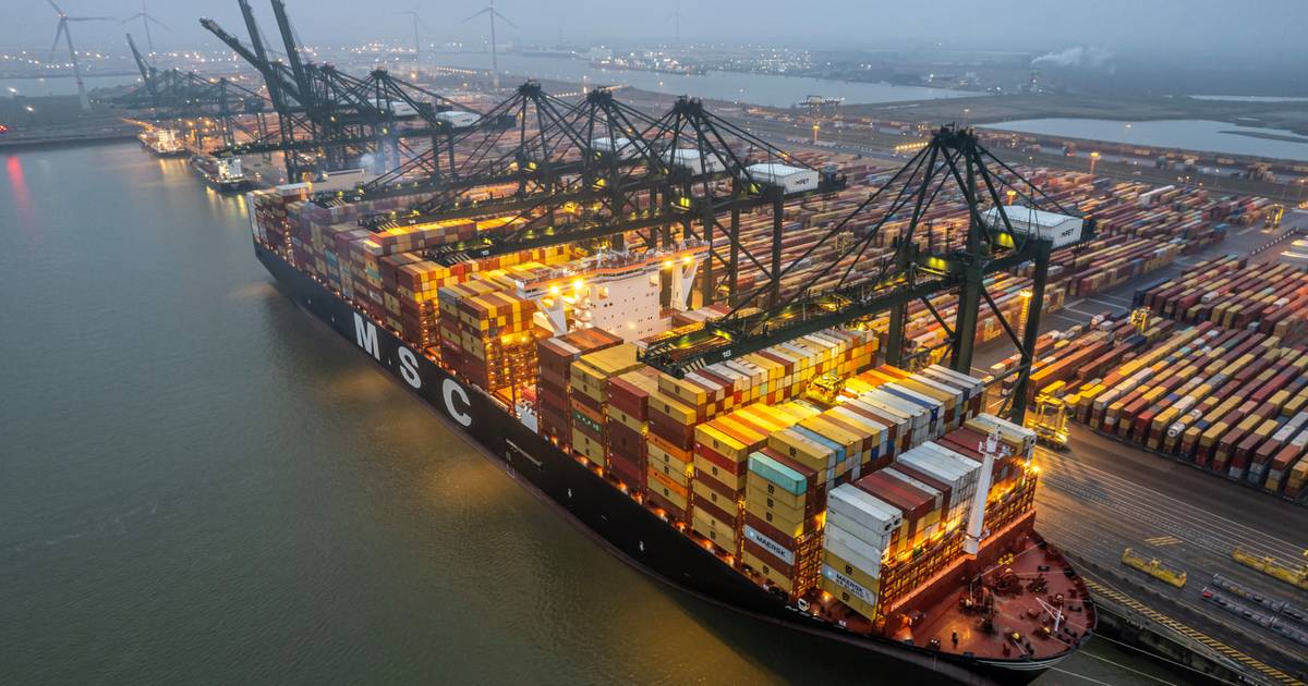Antwerpse haven breekt Europees record met MSC-containerreus in ...