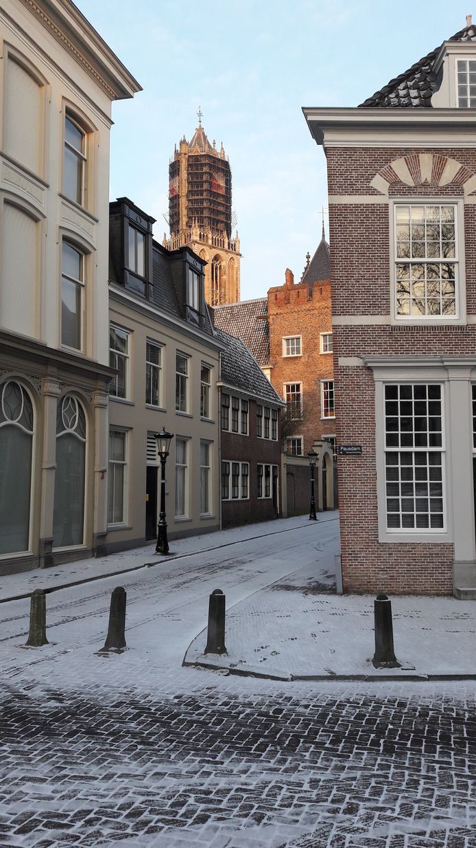 De Pausdam