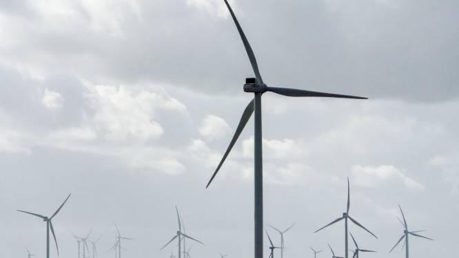 Zeewolde profiteert flink mee van grootste windpark van Nederland: 340.000 euro per jaar