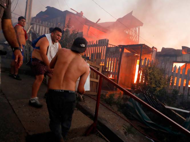 Bosbranden in Chili zijn “opzettelijk aangestoken”