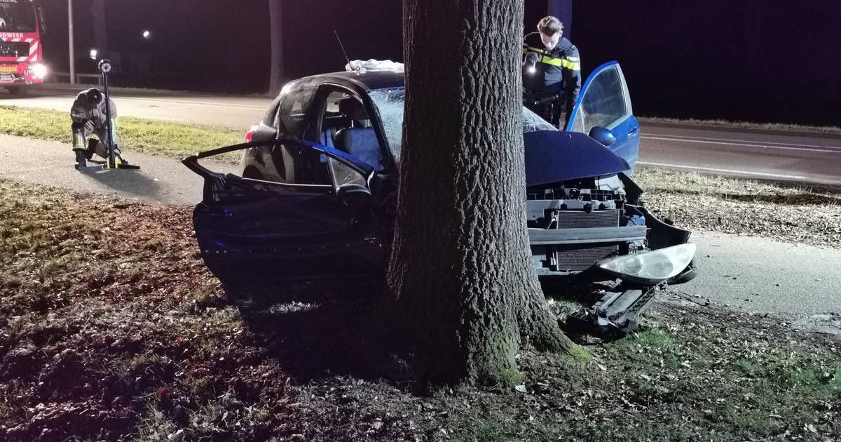 Inzittende bekneld, ander uit auto geslingerd bij frontale botsing tegen boom in Rhenen.