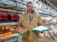Pluimveehouder Andy Siemons uit Roosendaal gaat straks meer witte en minder bruine eieren produceren.