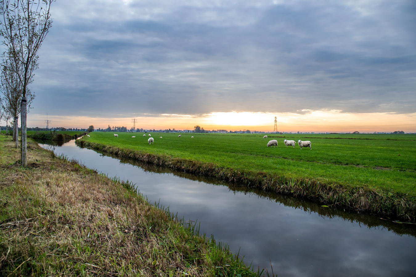 Alles lijkt gereed, maar tóch komen de windmolens in polder Rijnenburg er niet zomaar dit is