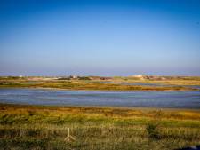 Wordt Zwinstreek erkend als Vlaams Landschapspark? “Eén van de mooiste regio’s van Vlaanderen”