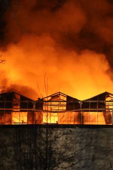 Trudie en Rien ontsnappen aan verwoestende vuurzee: ‘Eén vonkje was genoeg om ons huis in vlammen op te laten gaan’