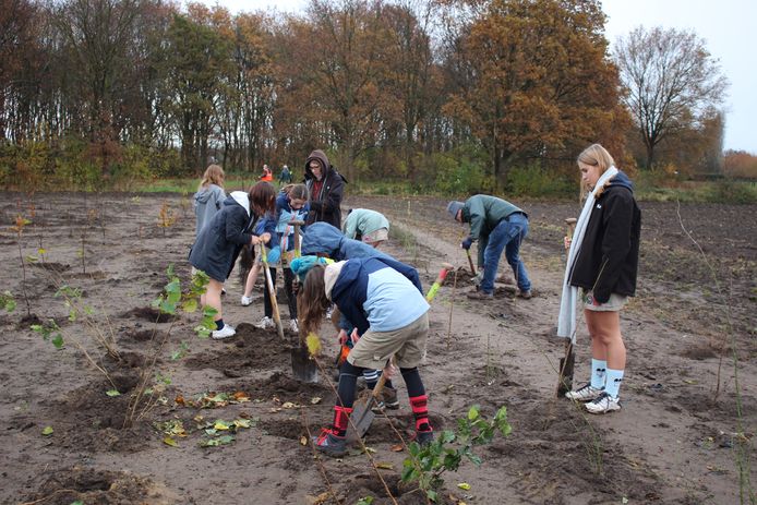 De aanplant van het Romboutbos kreeg de steun van de lokale jeugdbeweging.