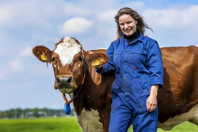 Marije Klever (35) is het gelukkigst als ze bij haar koeien in de wei is.