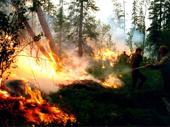 Na de Noordpool staat nu ook Siberië in vlam: bosbranden teisteren gebied zo groot als België