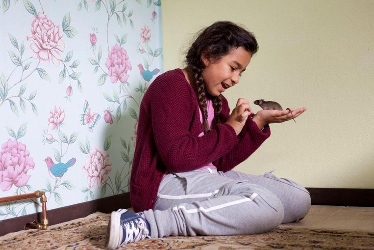 Als Meral een muis meeneemt op schoolreis telt ze ineens mee Beeld -