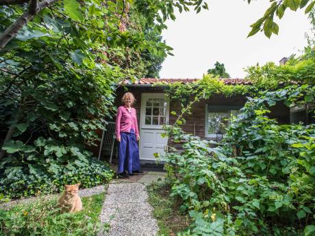 Aparte stulpjes via Airbnb in Haagse regio binnen no time volgeboekt