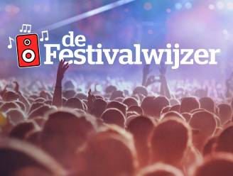 DE HLN-FESTIVALWIJZER. Moet je naar de ‘Grote Vier’ om grote namen te zien? En hoeveel zullen de pintjes kosten? 