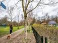Kinderboerderij, speeltoestellen en een grote moestuin van Velt vormen samen het Belevingspark Kleine Meer.