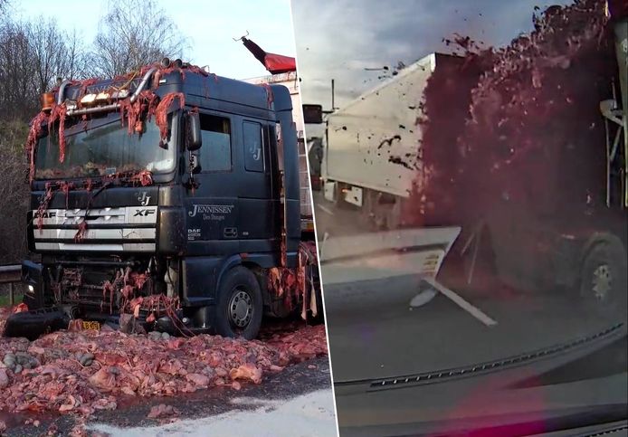 Een vrachtwagen met slachtafval is donderdag zijn lading verloren op de A67 in Nederland richting Eindhoven. / Snelweg bezaaid met 10.000 kilo slachtafval